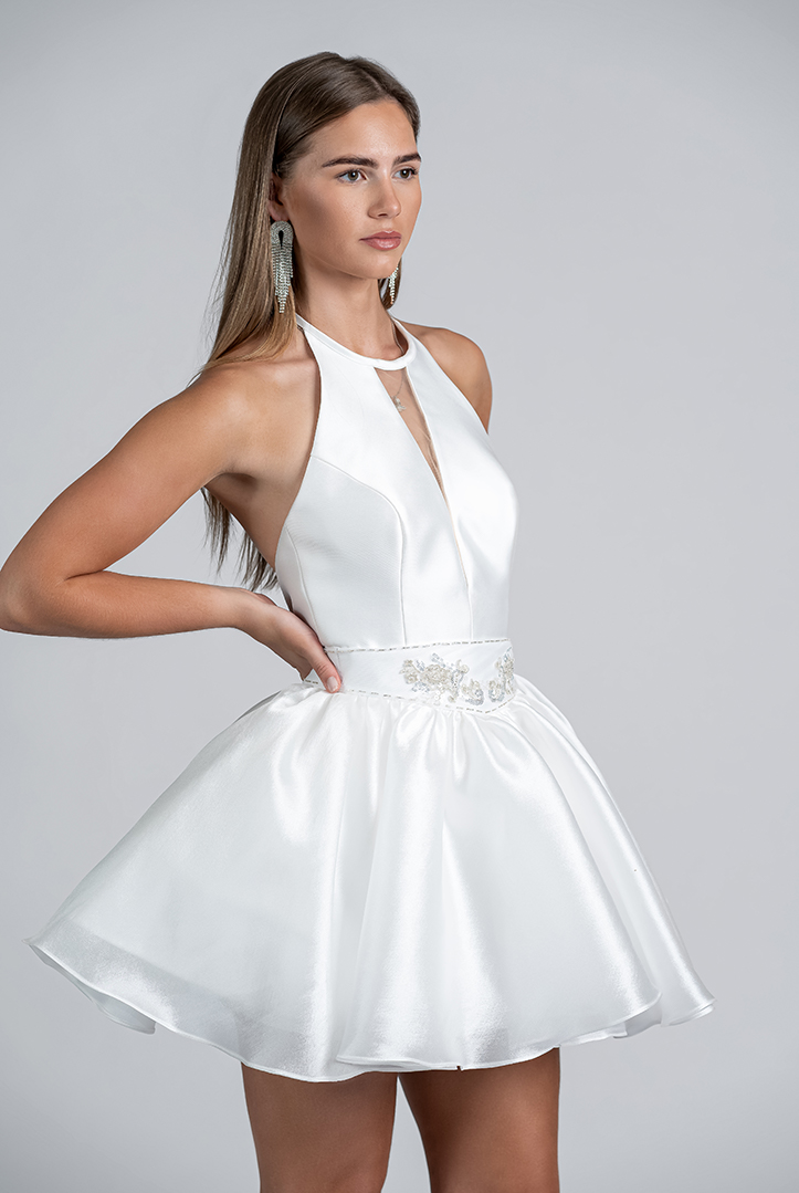 Zara Mini Mini Dress Wedding Dress By Roya Javaheri
